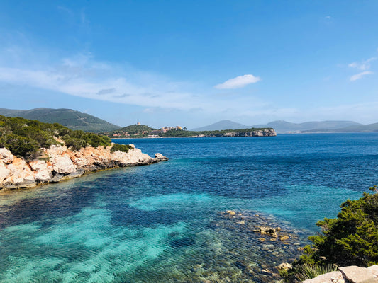 Wat maakt Italiaanse olijfolie speciaal