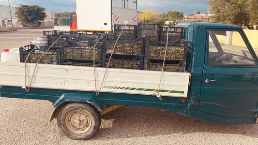 Van olijf tot shot: hoe Olivious gemaakt wordt