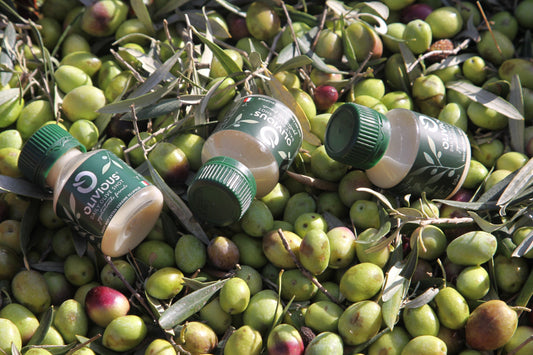 de beste olijfolie ter wereld