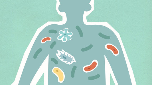 microbioom verbeteren