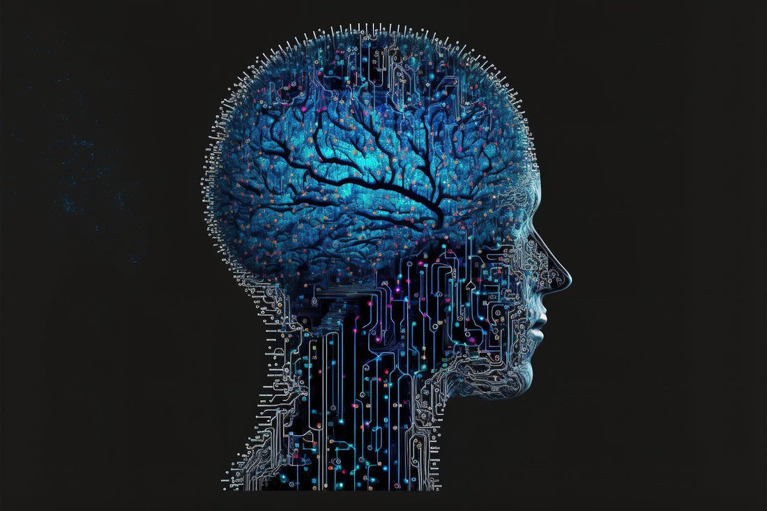 wat is de gut-brain axis