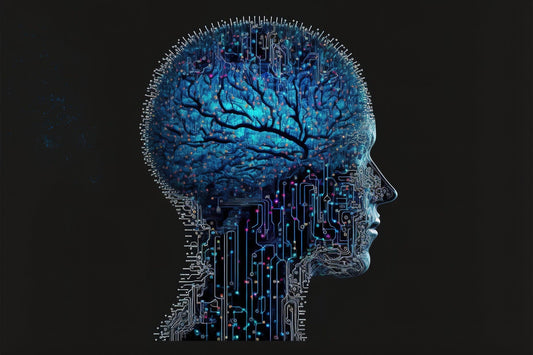 wat is de gut-brain axis